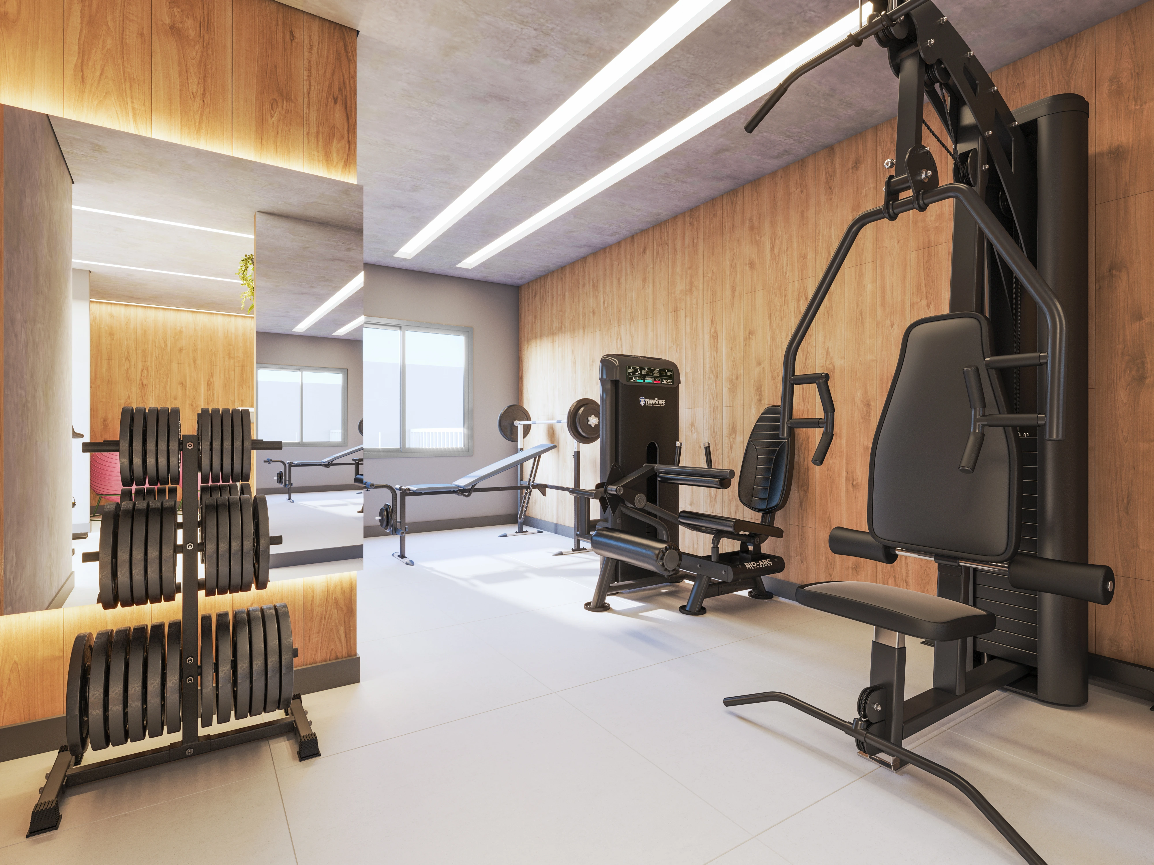 Academia1